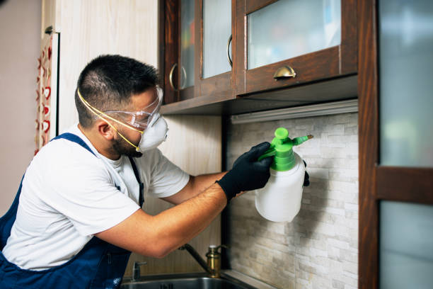 Best Pest Removal Services  in Valley Park, MO