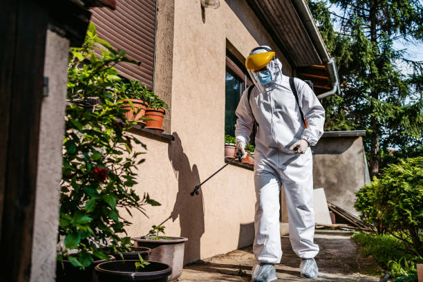 Best Residential Pest Control  in Valley Park, MO