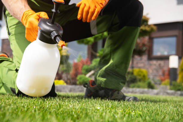 Best Mosquito Control Services  in Valley Park, MO