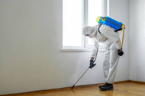 Best Wildlife Control Services  in Valley Park, MO