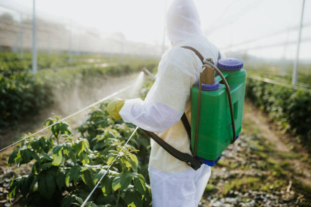 Best Best Pest Control Companies  in Valley Park, MO
